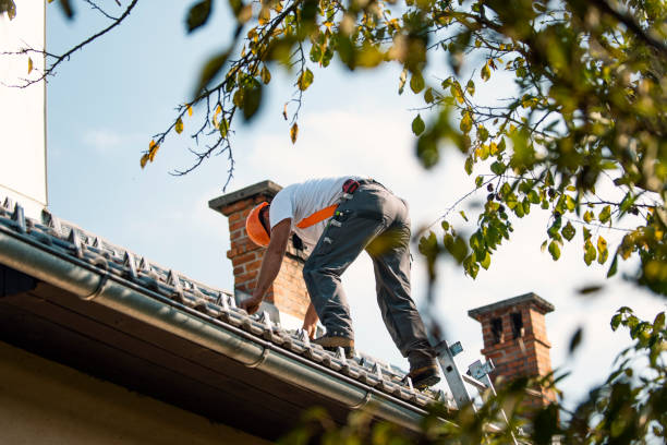 Best Roof Gutter Cleaning  in Maysville, OK